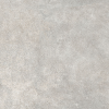 Touché Fossil