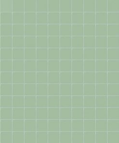Colori Aloe 2,5x2,5