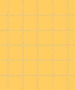 Colori Cedro 5x5