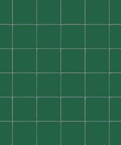 Colori Felce 5x5