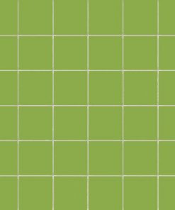 Colori Kiwi 5x5