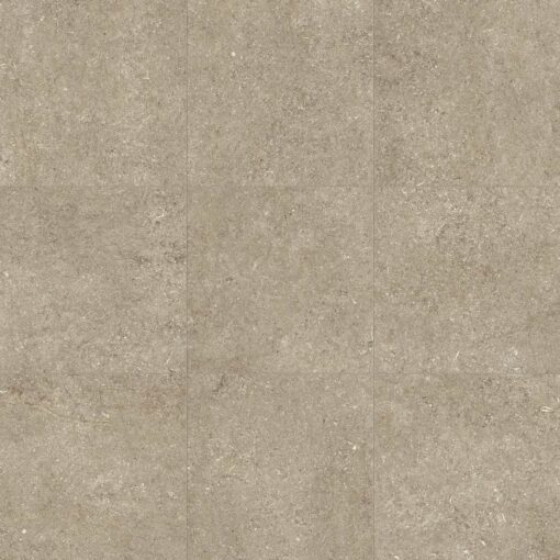 Sensi Taupe Fossil