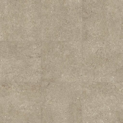 Sensi Taupe Fossil