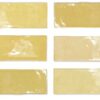 Fez Mustard Gloss
