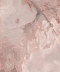 Rêve Rose