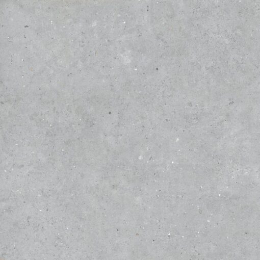 Biophilic Grey