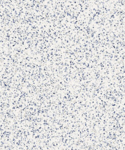 Frammento Macro Azzurro