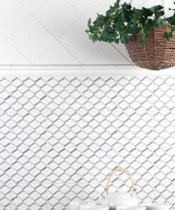 Neri Blanco Z miljø