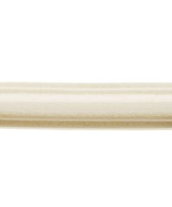 Ocean Sand Dollar Barra Relieve ADOC5041