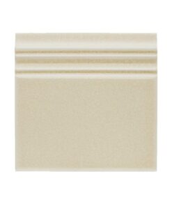 Ocean Sand Dollar Rodapie ADOC5065