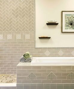 Ocean Sand Dollar miljø