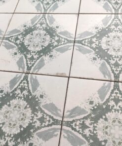 Atlantique Saint-Michel Bleu miljø