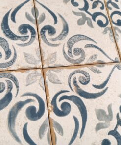 Barraquetes Azul miljø