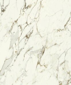 Purity of Marble Brecce Capraia