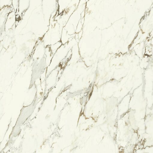 Purity of Marble Brecce Capraia